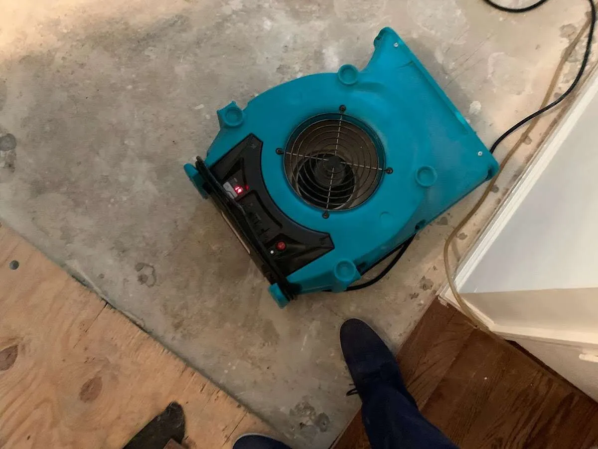 Air mover drying subfloor during Leak Detection & Repair in Picayune